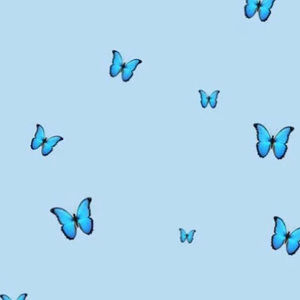 Meet your Posher, Maya